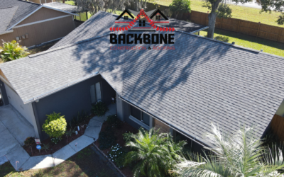 Leading the Way in Quality Roofing Across Plant City, Brandon, and Lakeland