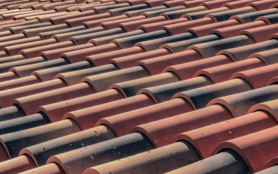 Roof Types in Plant City & Greater Tampa: Choosing the Best Roofing for Your Home